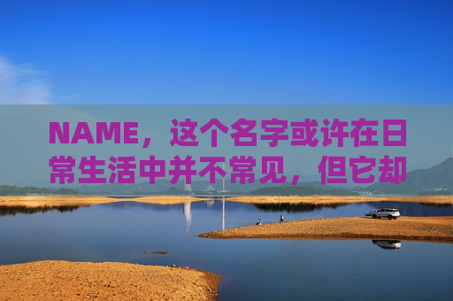 NAME，这个名字或许在日常生活中并不常见，但它却在某些领域里扮演着重要的角色。今天，让我们一起来探索这个名字背后的故事和意义